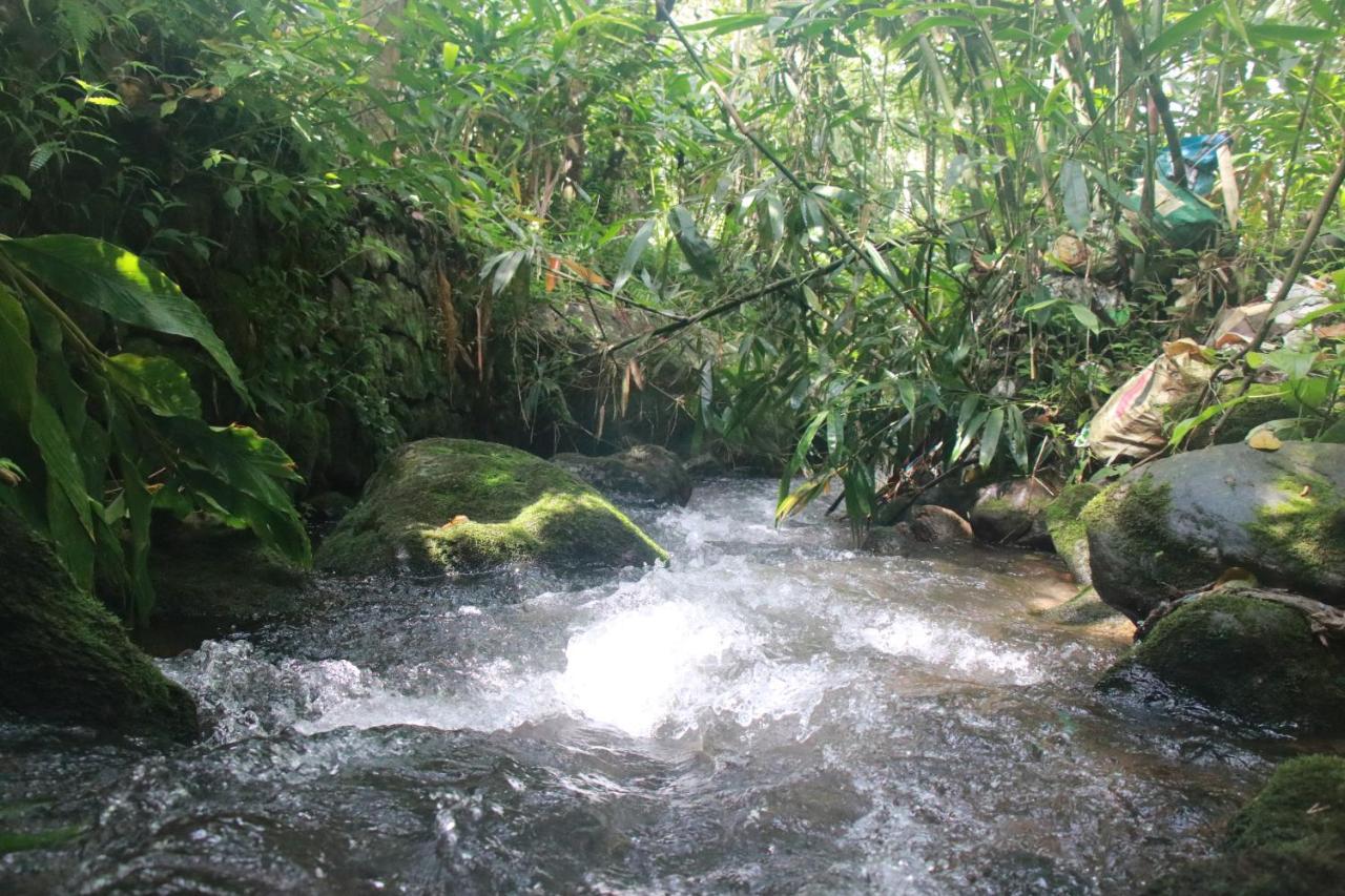 Nature Routes Cottage Munnar Exteriér fotografie