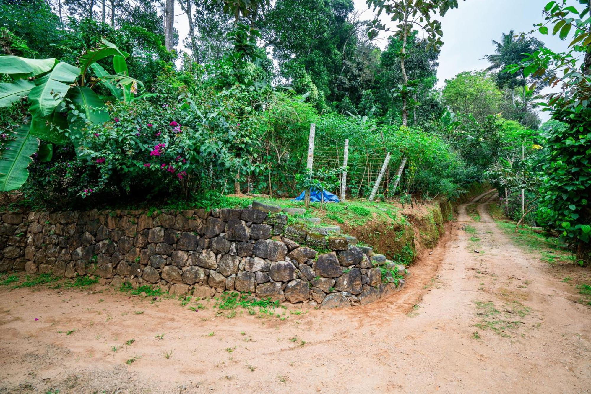 Nature Routes Cottage Munnar Exteriér fotografie