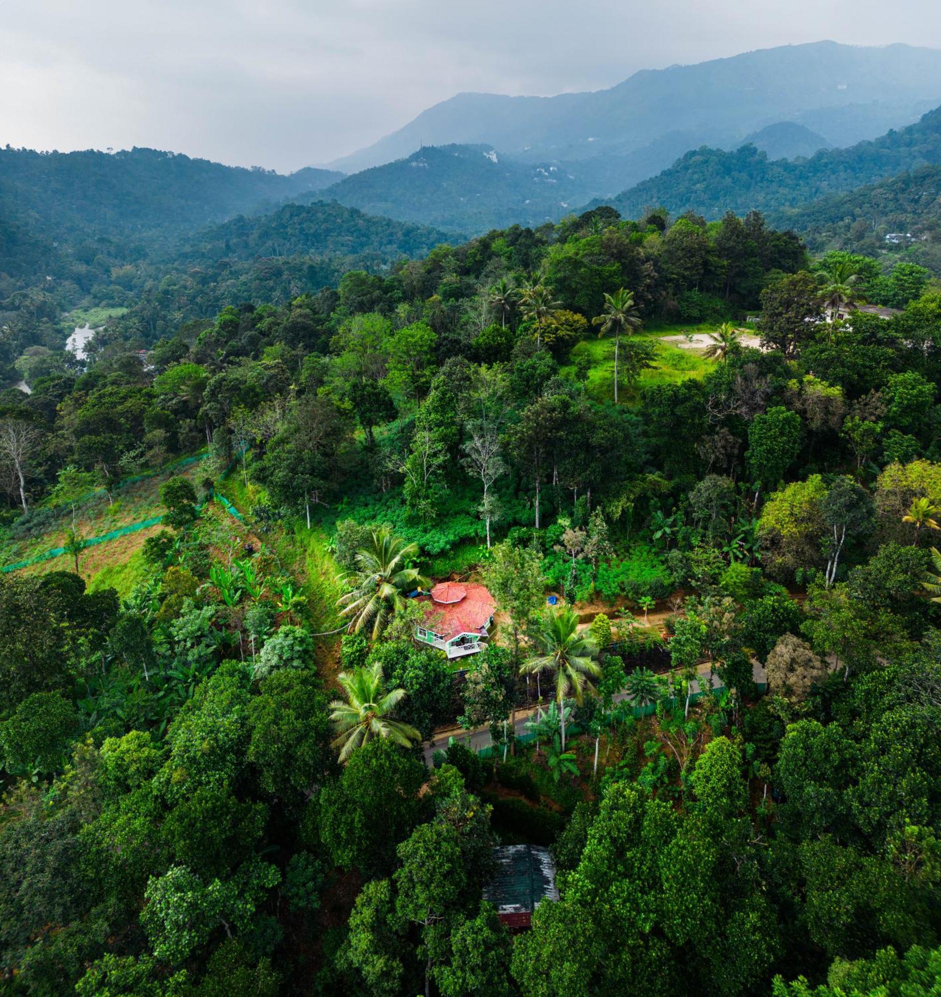 Nature Routes Cottage Munnar Exteriér fotografie